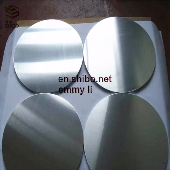 China Top Brand Molybdenum Discs Mo Circle
