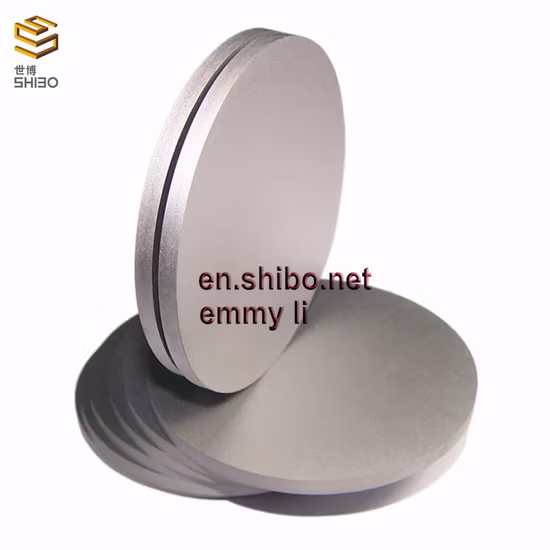 China Top Brand Molybdenum Discs Mo Circle